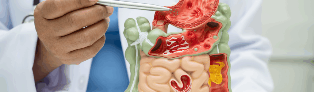 Digestive & Gut Health